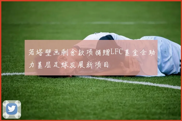 若塔壁画剩余款项捐赠LFC基金会助力基层足球发展新项目